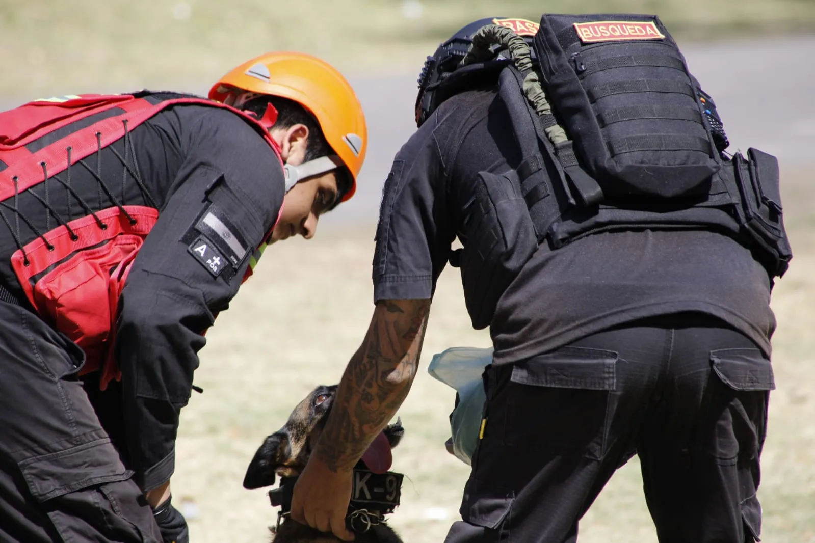 Entrenamiento de búsqueda de la Unidad K9 de Bomberos Vuelta de Rocha